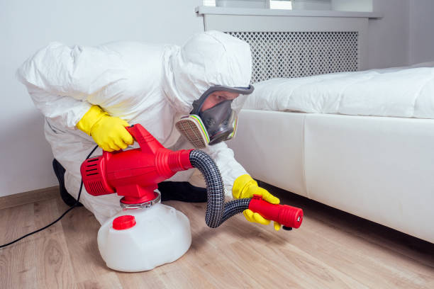 Best Residential Pest Control  in Celoron, NY